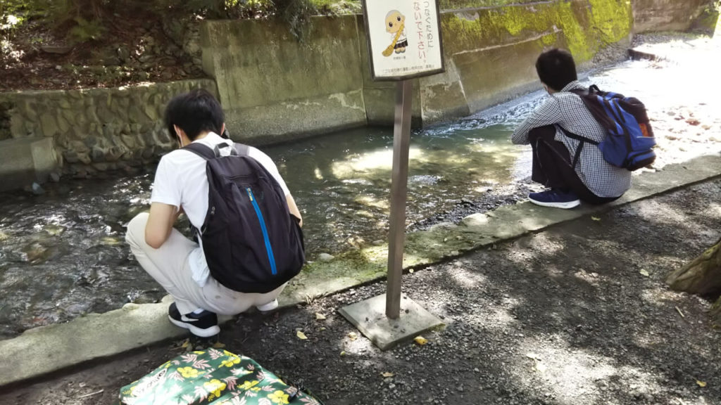 高尾山ハイキングの思い出 2 DSC 0511