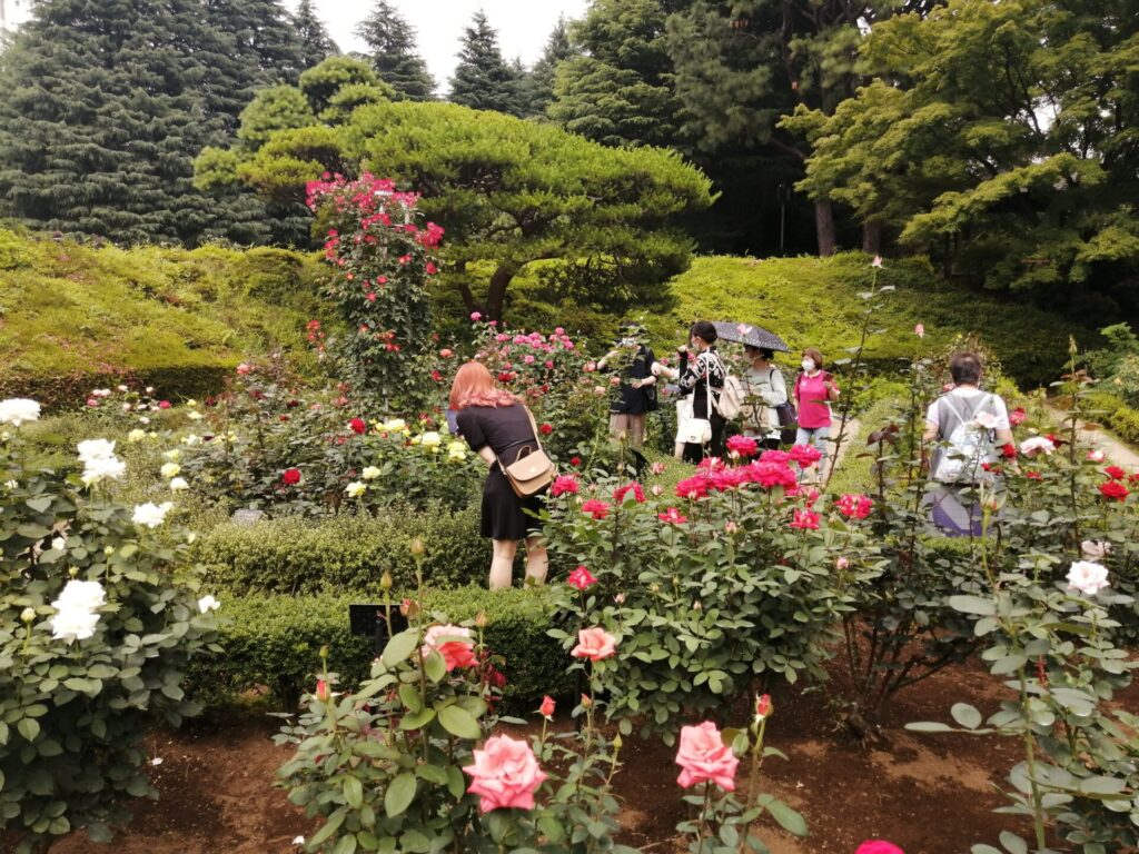 IMG 20220622 142900